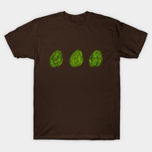 Avocado Three A- Study in T-Shirt